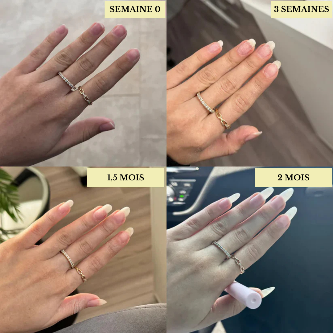 Pack Découverte (4 parfums)
